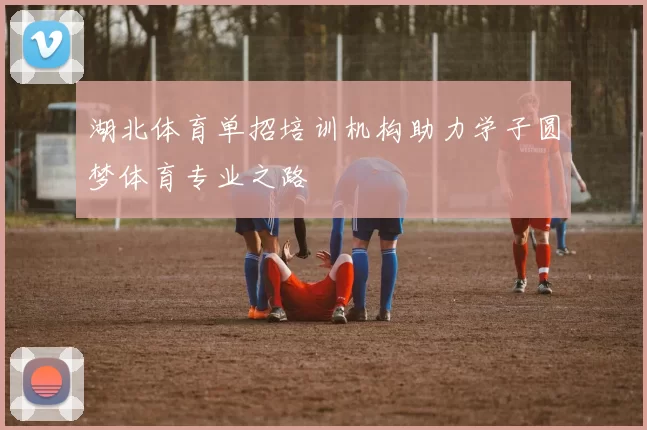 湖北体育单招培训机构助力学子圆梦体育专业之路